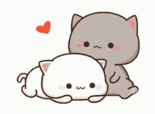 cat hugging gif